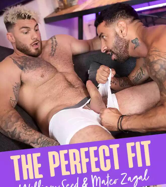 MEN – The Perfect Fit – William Seed and Mateo Zagal