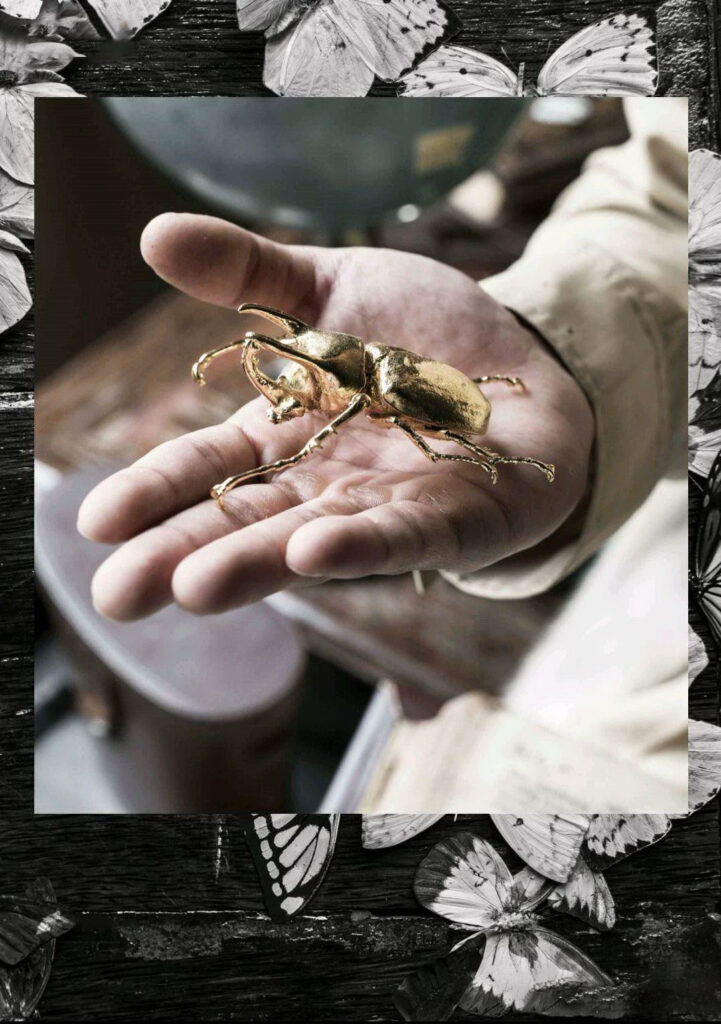 KORA XPERIMENT  NO.10 The Entomologist 昆虫学 ‖R+【PHOTO】